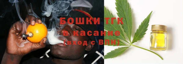 ALPHA-PVP Гусев
