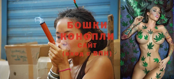 ALPHA-PVP Гусев