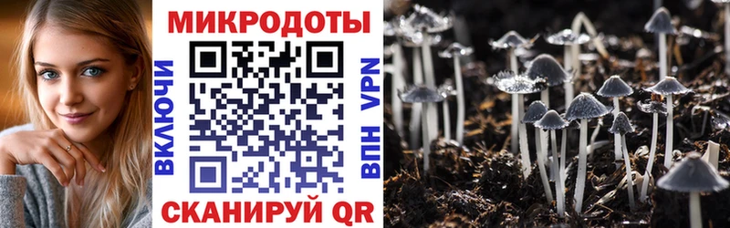 Купить закладки  Ухта  Галлюциногенные грибы мицелий 